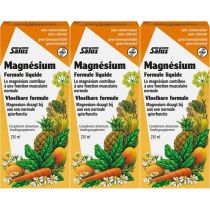 Salus Floradix Magnesium Liquid Mineral Supplement 250ml - Pack of 3