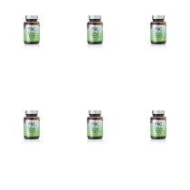 FSC 500mg Ginkgo Biloba Tablets 60 Tablet - Pack of 6