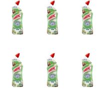 Harpic Active Fresh Toilet Cleaning Gel Mountain Pine 750ml - Pack of 6