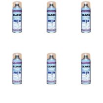 Paint Factory Glass Frosting Spray 250ml - Pack of 1
