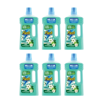 Flash All Purpose Cleaner Clean & Shine Apple Blossom 1L - Pack of 6