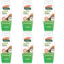 Palmer's Coconut Oil Formula Moisture Boost Shampoo 400ML - Pack of 6