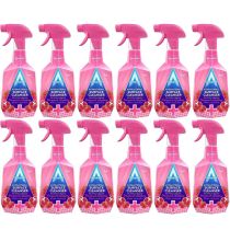 Astonish Antibacterial Surface Cleanser Pomegranate & Raspberry 750ml