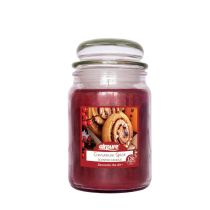 Airpure Cinnamon Scented Candle Jar 510g