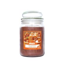 Airpure Gingerbread Spice Scented Candle 510g
