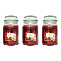 Airpure Scented Jar Candle Fireside Glow 510G - Pack of 3