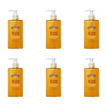 Wrights Cleansing Hand Wash with Coal Tar Fragrance 250 ML - Pack of 6