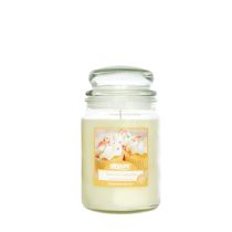 Airpure Vanilla Cupcake Scented Candle Upto 120 Hours Time 510g