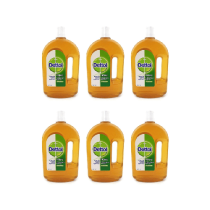 Dettol Antiseptic Disinfectant Liquid 750ml - Pack of 6