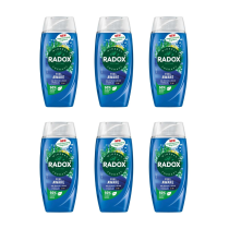 Radox Feel Awake for Men 2in1 Shower Gel 250ml - Pack of 6