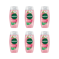 Radox Feel Uplifted Shower Gel 250ml - Pack of 6