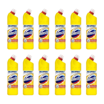 Domestos Citrus Bleach 750ml - Pack of 12