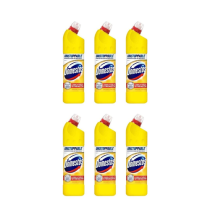 Domestos Citrus Bleach 750ml - Pack of 6