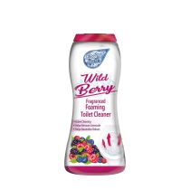 Foam Fresh With Wild Berry foaming toilet cleaner 370g