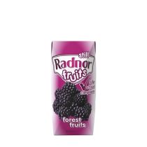 Radnor Fruits Still Forest Fruits Juice Drink 200ml