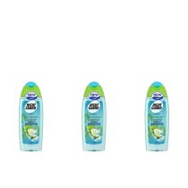 Right Guard Coconut Water Women Shower Gel 250ml - Pack of 3
