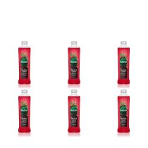 Radox Muscle Therapy Bath Soak Black Paper & Ginseng 500ml - Pack of 6