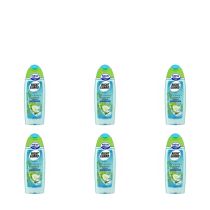 Right Guard Coconut Water Women Shower Gel 250ml - Pack of 6
