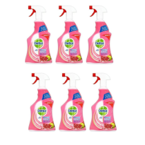 Dettol Power & Fresh Pomegranate Antibacterial Multi Purpose Spray 1 Litre - Pack of 6