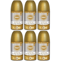 Airpure Air Freshener Refill Oh My Goddess 250ML