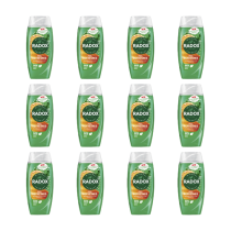 Radox Feel Refreshed 2in1 Shower Gel 250ml - Pack of 12
