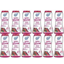 Foam Fresh With Wild Berry 370g - Pack of 12