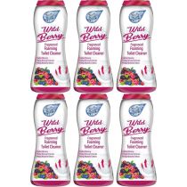 Foam Fresh With Wild Berry 370g - Pack of 6