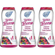 Foam Fresh With Wild Berry 370g - Pack of 3