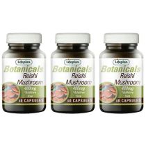Lifeplan Botanicals Reishi Mushroom 480mg Additive Free 60 Capsules - Pack of 3