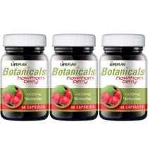 Lifeplan Hawthorn Berry 400mg 60 Capsules - Pack of 3