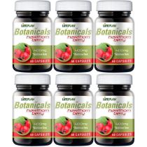 Lifeplan Hawthorn Berry 400mg 60 Capsules - Pack of 6