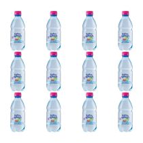 Radnor Splash Sparkling Apple & Raspberry Flavoured Water 330ml - Pack of 12