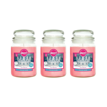 Airpure Ice Queen Scented Candle Jar 18oz - Pack of 3
