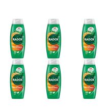 Radox Mineral Therapy Feel Refreshed Eucalyptus & Citrus Shower Gel 450ml - Pack of 6