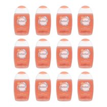 Femfresh Daily Feminine Intimate Wash 150 ML - Pack of 12