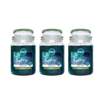 Airpure Sleigh Ride Scented Candle Jar 18oz - Pack of 3