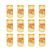 Airpure Scrub-a-Duck Multipurpose Microfibre Cleaning Pad - Pack of 12