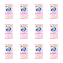 Wet Ones Be Cute Hand Wipes 12 Sheets - Pack of 12