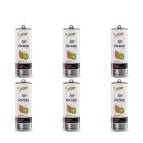 Celsius Kiwi Guava Energy Drink 355ml - Pack of 6