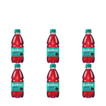 Radnor Fizz Forest Fruits Drink 300ml - Pack of 6