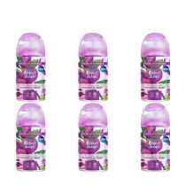 Perfect Scents Magnolia Muse Automatic Air Freshener Refill 250ml - Pack of 6