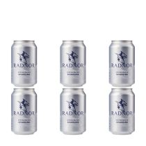 Radnor Sparkling Spring Water Can 330ml - Pack of 6