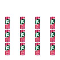 J2O Apple & Raspberry Fruit Juice Drink 250ml - Pack of 12