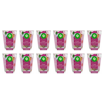 Air Wick Cosy Cottage Frosted Roses & Mistletoe Sencted Candle 105g - Pack of 12