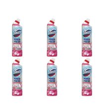Domestos Power Fresh Floral Toilet Gel 750ml - Pack of 6