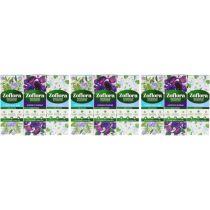 Zoflora Cypress & Sea Sage, Midnight Blooms & Linen Fresh Concentrated Multipurpose Disinfectant 120ml Each - Pack of 3