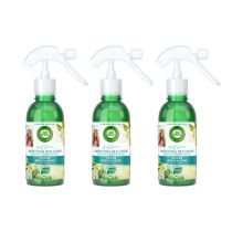 AirWick Morning Meadow Jasmine & Green Apple Room Spray 236 ML - Pack of 3