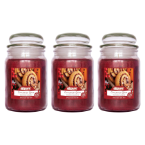 Airpure Cinnamon Scented Candle Jar 510g - Pack of 3