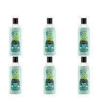 Alberto Balsam Tea Tree Conditioner 300ml - Pack of 6