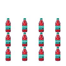 Radnor Fizz Forest Fruits Drink 300ml - Pack of 12